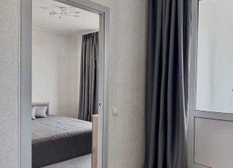 Сдам 1-комнатную квартиру, 30 м2, Мурино, проспект Авиаторов Балтики, 25, ЖК Авиатор