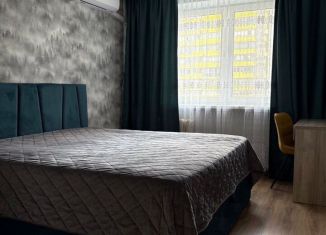 Аренда 2-ком. квартиры, 65 м2, Республика Башкортостан, улица Рудольфа Нуреева, 14