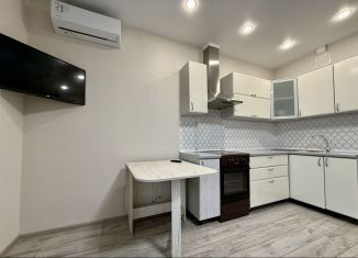 Сдается в аренду квартира студия, 27 м2, Республика Башкортостан, проспект Дружбы Народов, 59/1