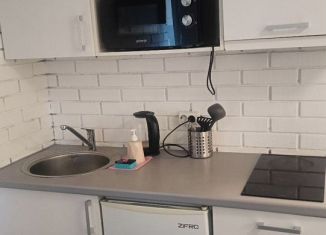 Сдача в аренду квартиры студии, 20 м2, Санкт-Петербург, Псковская улица, 2