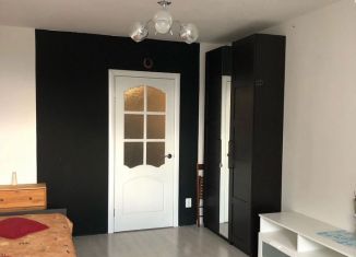 Сдам квартиру студию, 26 м2, Санкт-Петербург, проспект Металлистов, 117