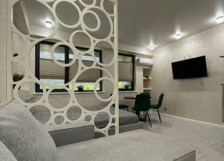 Сдам в аренду квартиру студию, 31 м2, Сочи, Курортный проспект, 96Гк2, микрорайон Приморье