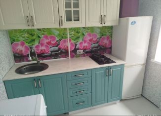 Сдача в аренду 1-комнатной квартиры, 33 м2, Уфа, улица Кирова, 43/1