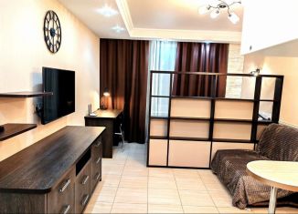 Сдается квартира студия, 26.1 м2, Мурино, проспект Авиаторов Балтики, 3к1, ЖК Девятый вал