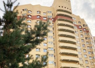 Сдача в аренду 1-комнатной квартиры, 32 м2, Санкт-Петербург, Ленинский проспект, 77к2