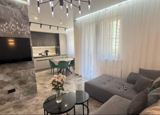 Сдаю в аренду 1-комнатную квартиру, 60 м2, Сириус, улица Акаций, 34к8