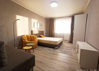 Однокомнатная квартира в аренду, 40 м2, Санкт-Петербург, проспект Наставников, 3к1