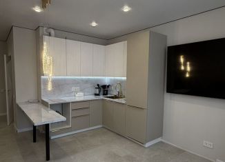 Сдам квартиру студию, 28 м2, Краснодар, Колхозная улица, 5/2, микрорайон Табачная Фабрика