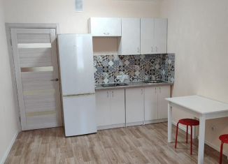 Сдам в аренду квартиру студию, 22 м2, Санкт-Петербург, Муринская дорога, 27к2, метро Девяткино