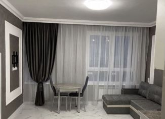 Сдам в аренду квартиру студию, 23.8 м2, Люберцы, улица 8 Марта, 48к1