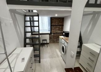 Сдается в аренду квартира студия, 14 м2, Санкт-Петербург, улица Рубинштейна, 38