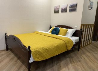 Аренда квартиры студии, 30 м2, Ростов-на-Дону, улица Малюгиной, 228