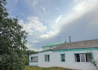 Дом на продажу, 46.8 м2, Республика Башкортостан, Рябиновый переулок, 4