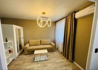 Сдача в аренду 1-комнатной квартиры, 45 м2, Татарстан, улица Павлюхина, 108Б