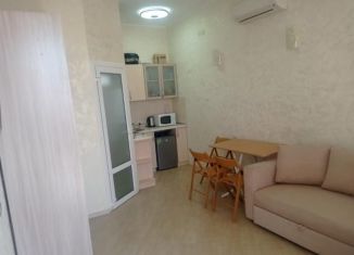 Продажа квартиры студии, 19.5 м2, поселок городского типа Заозерное, улица Аллея Дружбы, 12Ак1