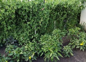 Продажа дачи, 40 м2, поселок городского типа Инской