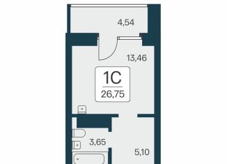 Продается квартира студия, 26.8 м2, Новосибирск, метро Площадь Ленина