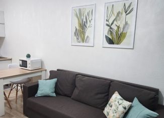 Аренда квартиры студии, 22 м2, Санкт-Петербург, Муринская дорога, 25к3, метро Девяткино