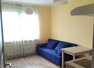 Квартира в аренду студия, 20 м2, Санкт-Петербург, Муринская дорога, 27к3, метро Девяткино