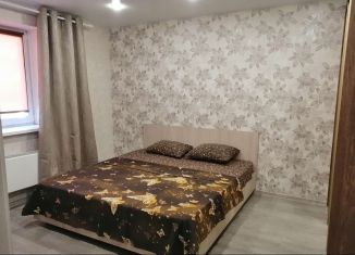 Сдам в аренду 1-комнатную квартиру, 33 м2, Самарская область, Калмыцкая улица, 29