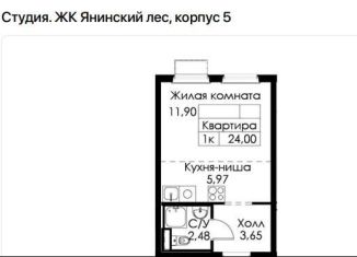 Продается квартира студия, 24 м2, городской посёлок Янино-1