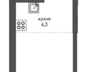 Продам квартиру студию, 29.3 м2, Новосибирск, улица Коминтерна, 1с, Дзержинский район