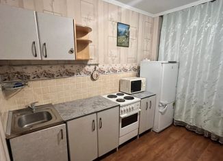 Сдаю однокомнатную квартиру, 42 м2, Новосибирск, Чемская улица, 16, Чемская улица