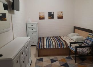 Сдается в аренду квартира студия, 30 м2, Севастополь, Артдивизионовская улица, 37