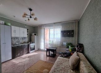 Продам квартиру студию, 26 м2, Челябинск, Советский район, Плановая улица, 3