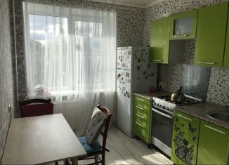 Сдам 2-комнатную квартиру, 50 м2, Санкт-Петербург, 2-й Муринский проспект, 14, метро Площадь Мужества