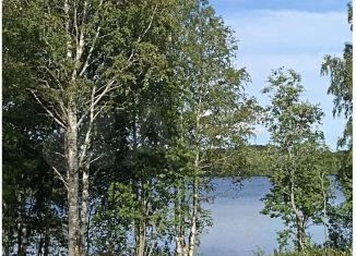 Продаю участок, 15 сот., село Святозеро