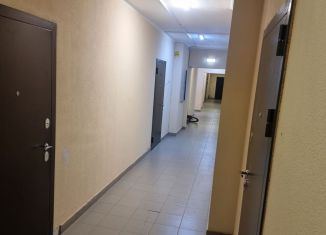 Сдача в аренду 1-ком. квартиры, 35 м2, Краснодар, Душистая улица, 60к2, микрорайон Молодёжный