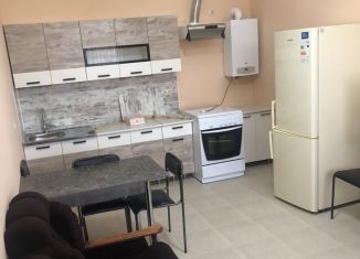 Дом в аренду, 100 м2, Ставропольский край, Юбилейная улица, 91