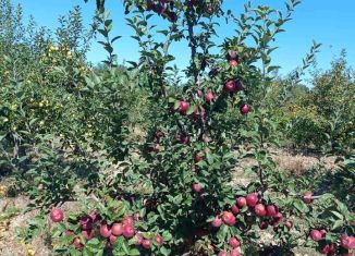 Продается участок, 189 сот., Почтовское сельское поселение