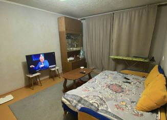 2-комнатная квартира в аренду, 50 м2, Екатеринбург, Авиационная улица, 63к3, Авиационная улица