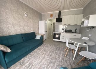 Сдается в аренду квартира студия, 24 м2, Сочи, улица Искры, 88к1