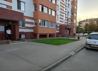 Продам 1-комнатную квартиру, 40 м2, Нижний Новгород, Вольская улица, 19, Канавинский район