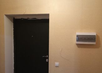 Сдам 1-комнатную квартиру, 47 м2, село Новая Усмань, Квартальная улица, 135