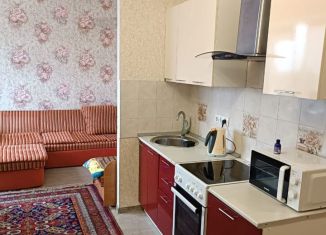 Сдается в аренду квартира студия, 30 м2, Ставропольский край, проспект Кулакова, 67