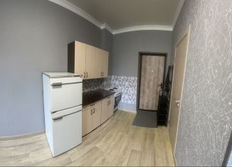 Квартира в аренду студия, 19 м2, Красноярск, улица 52-й Квартал, 1