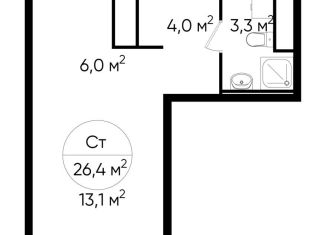 Продам квартиру студию, 26.4 м2, Московский, ЖК Первый Московский