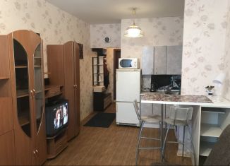 Сдаю квартиру студию, 25 м2, Санкт-Петербург, Пулковская улица, 6к2, метро Московская