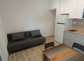 Квартира в аренду студия, 30 м2, посёлок городского типа Сириус, улица Станиславского, 17