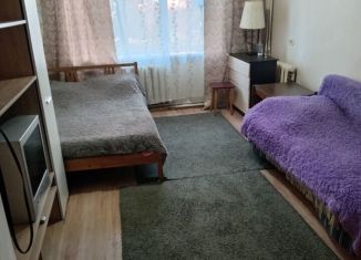 Однокомнатная квартира в аренду, 30 м2, Яхрома, улица Ленина, 5