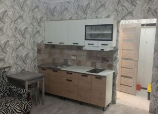 Сдается квартира студия, 24 м2, Балашиха, улица Яганова, 3