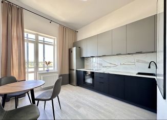 Сдается в аренду 2-ком. квартира, 60 м2, Санкт-Петербург, набережная реки Каменки, 3к3, Приморский район