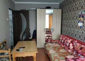 1-комнатная квартира на продажу, 27.6 м2, село Новостепное, Московская улица, 6