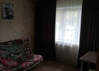 Сдам в аренду 1-ком. квартиру, 300 м2, Алтайский край, улица Антона Петрова