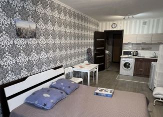 Квартира в аренду студия, 25 м2, Красноярский край, улица Карамзина, 6