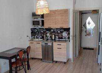 Сдам в аренду квартиру студию, 20.2 м2, Мурино, Воронцовский бульвар, 16к1, ЖК Краски Лета